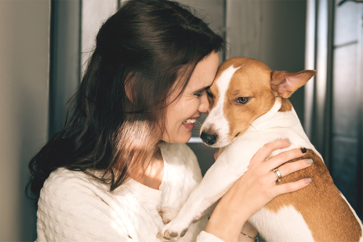 Dog Skin Care: The Best Tips