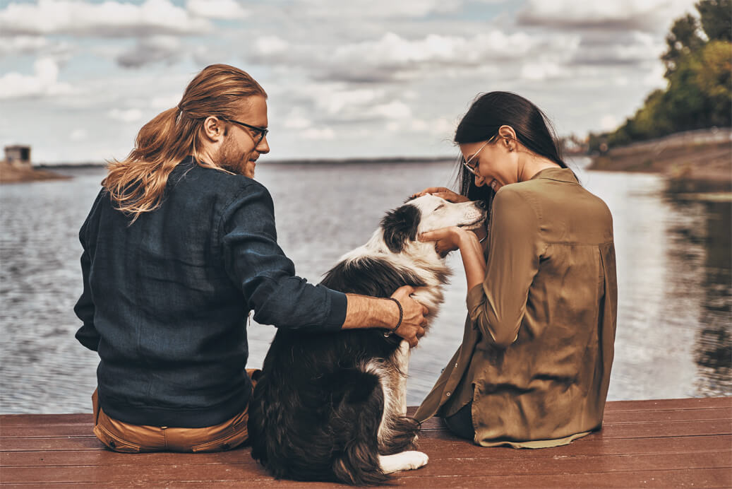 Is Your Pet a Relationship Expert? The Answer Will Surprise You!