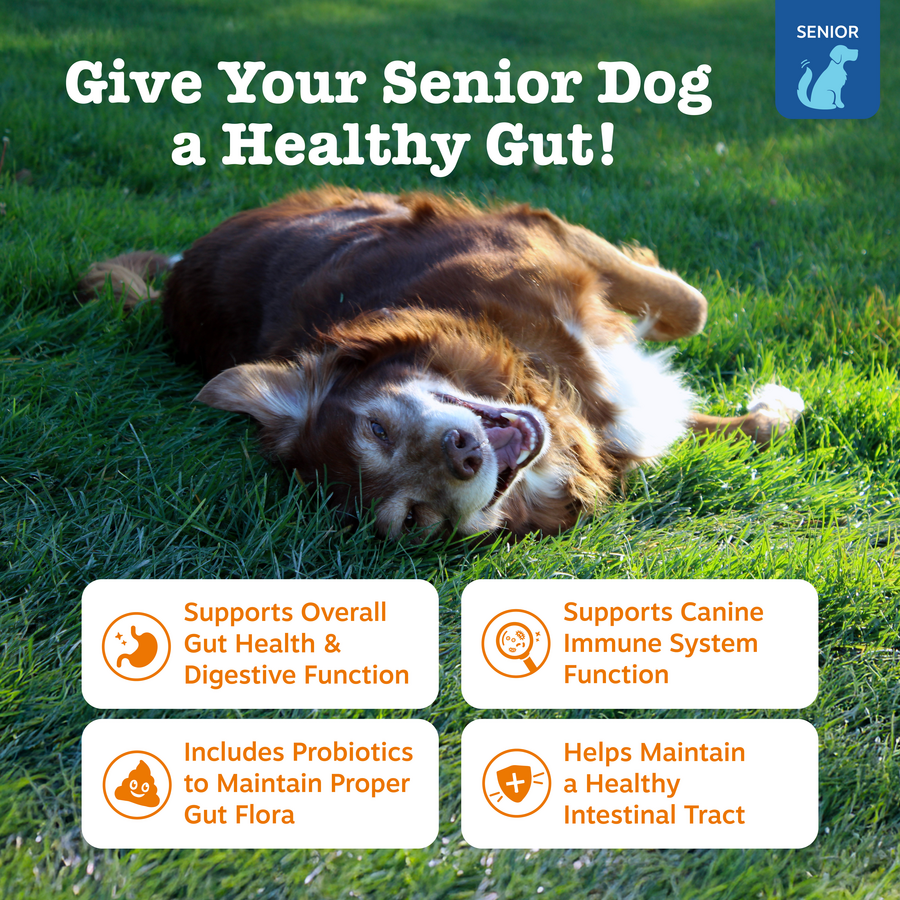 Senior Advanced Probiotic Bites™ for Senior Dogs