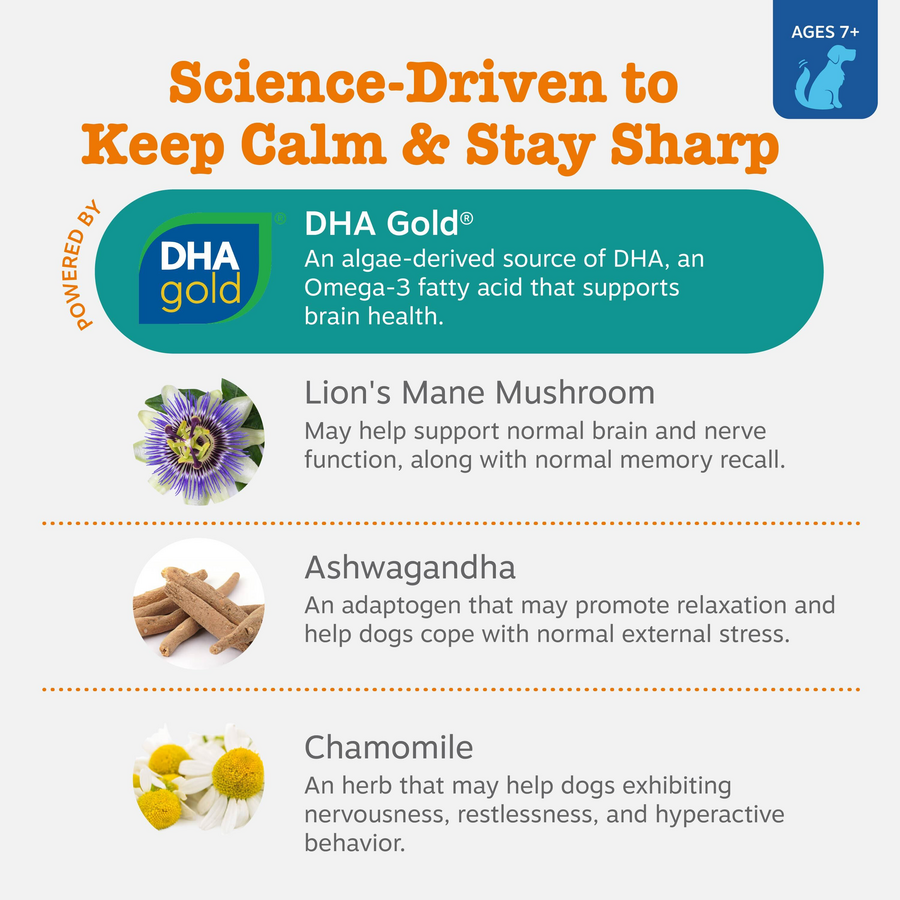 Senior Advanced Calming & Cognition Bites™ for Dogs