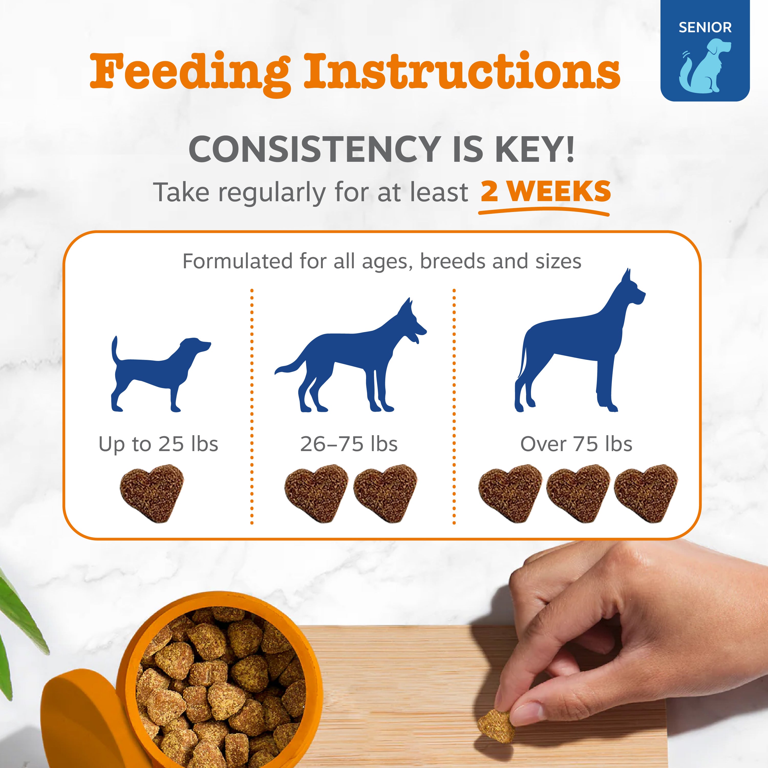 Feeding instructions for senior dog multivitamin bites showing dosage by dog size and hand holding single bite.