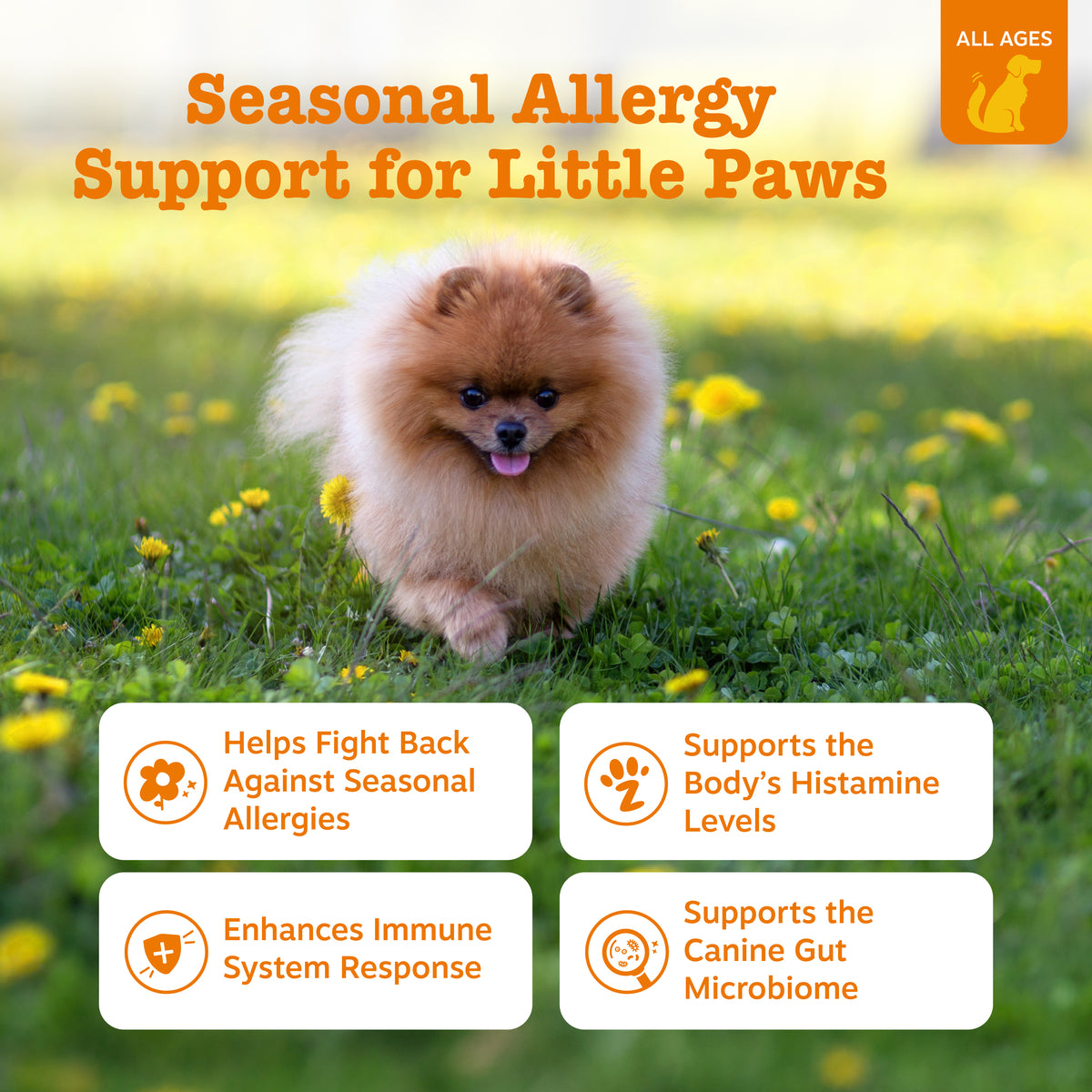Allergy & Immune Mini Bites for Small Dogs