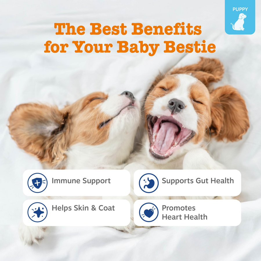 Puppy Milk Replacer + Colostrum