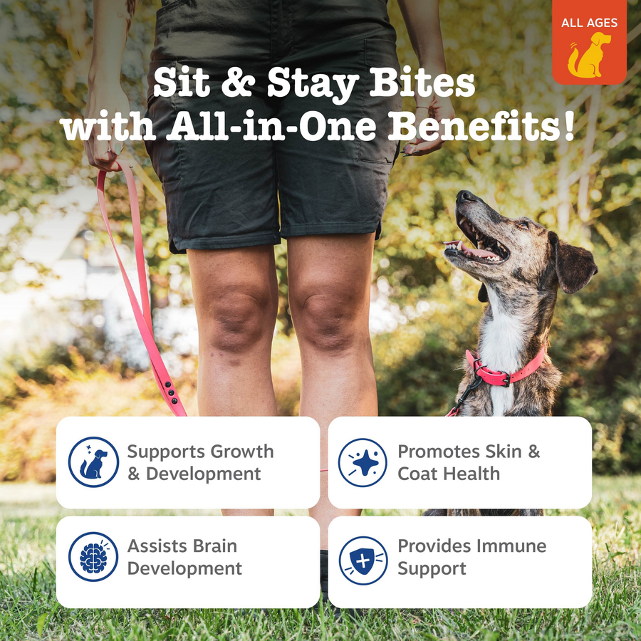 All-in-One Training Bites for Dogs
