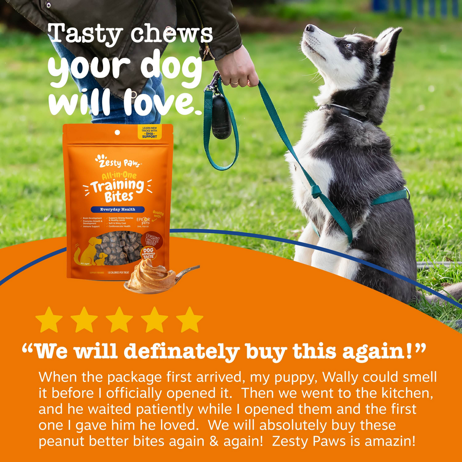 All-in-One Training Bites for Dogs