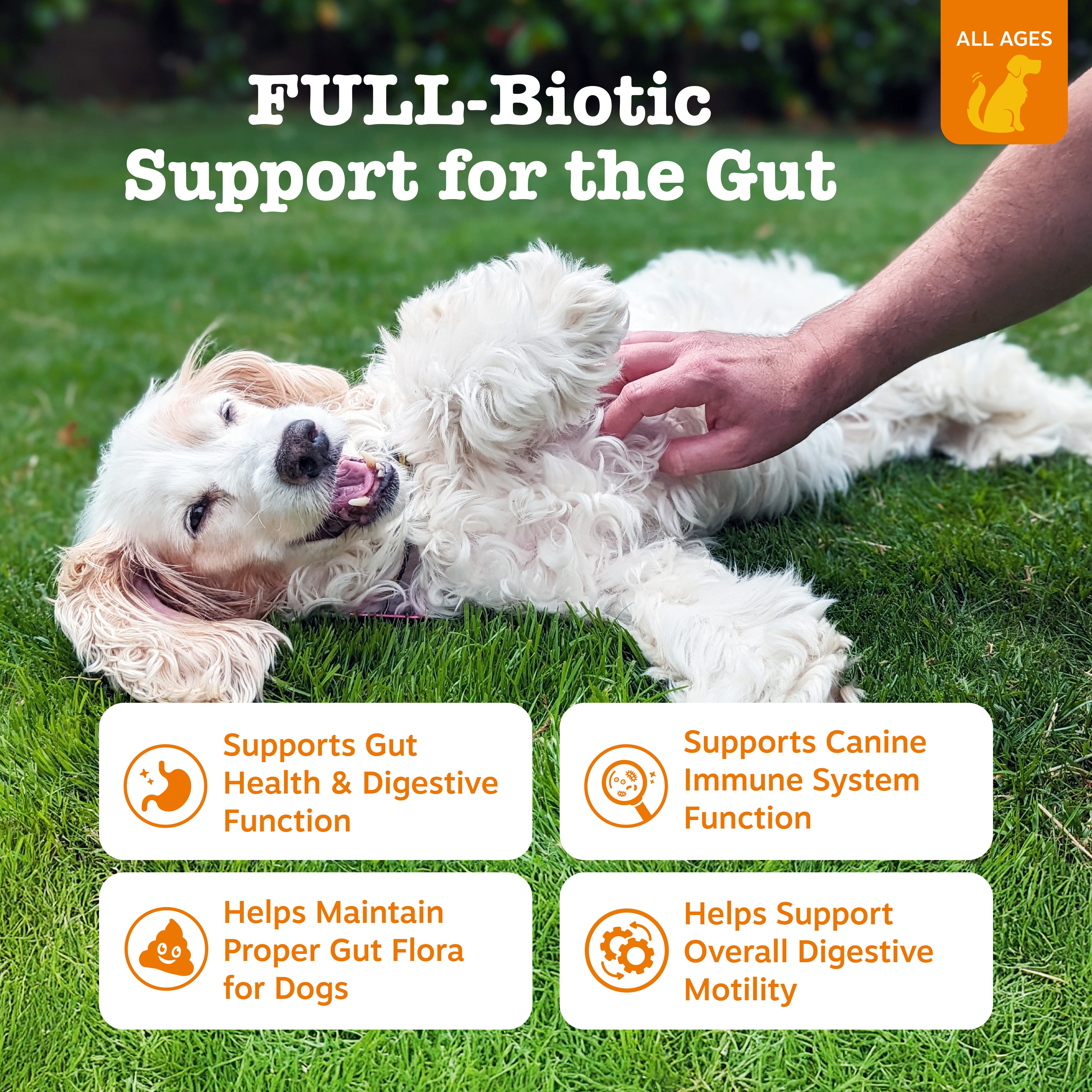 White dog lying on grass while person's hand offers a treat, with text and benefit icons displayed.
