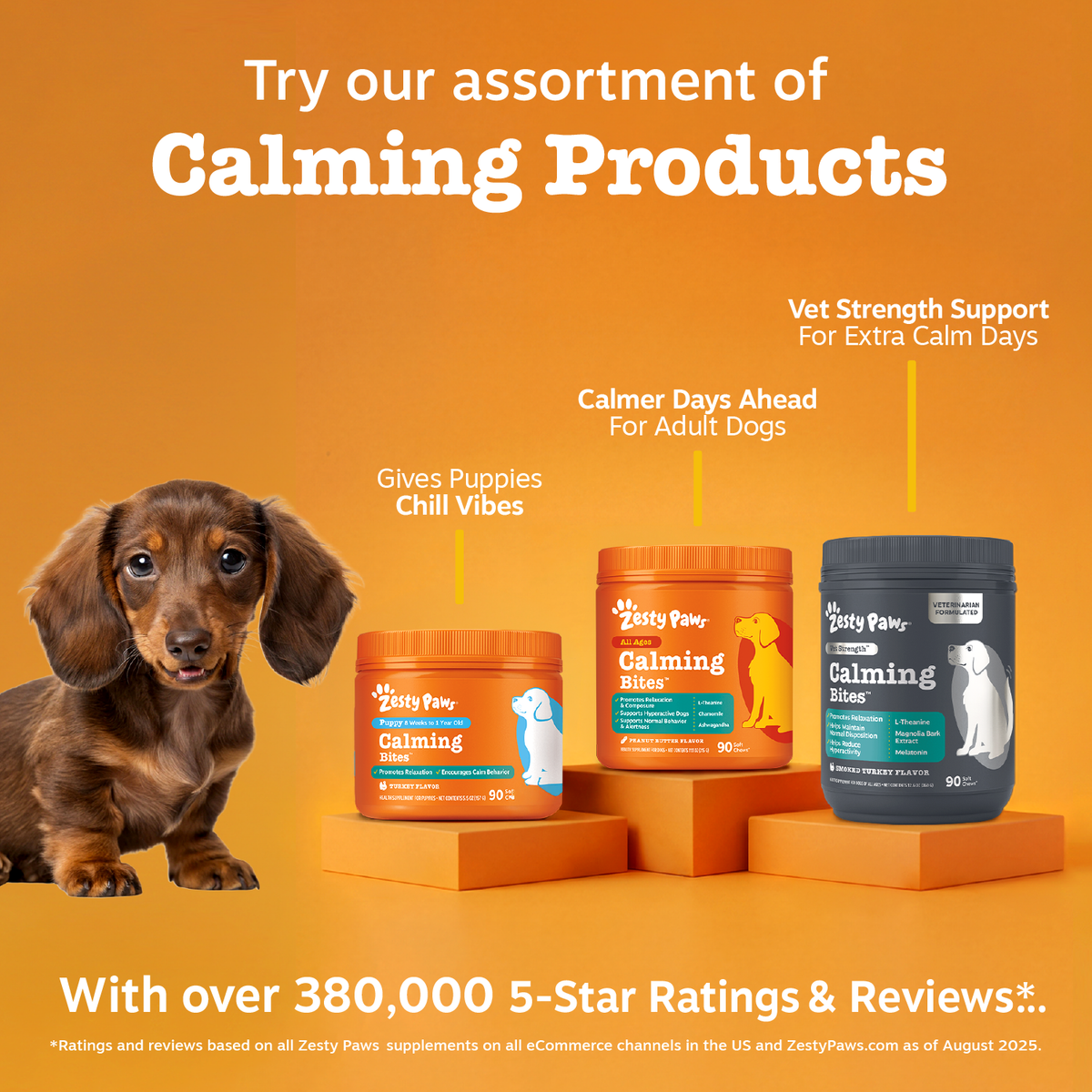 Brown dachshund next to three orange and dark containers of Zesty Paws Calming Bites on orange blocks against yellow-orange b