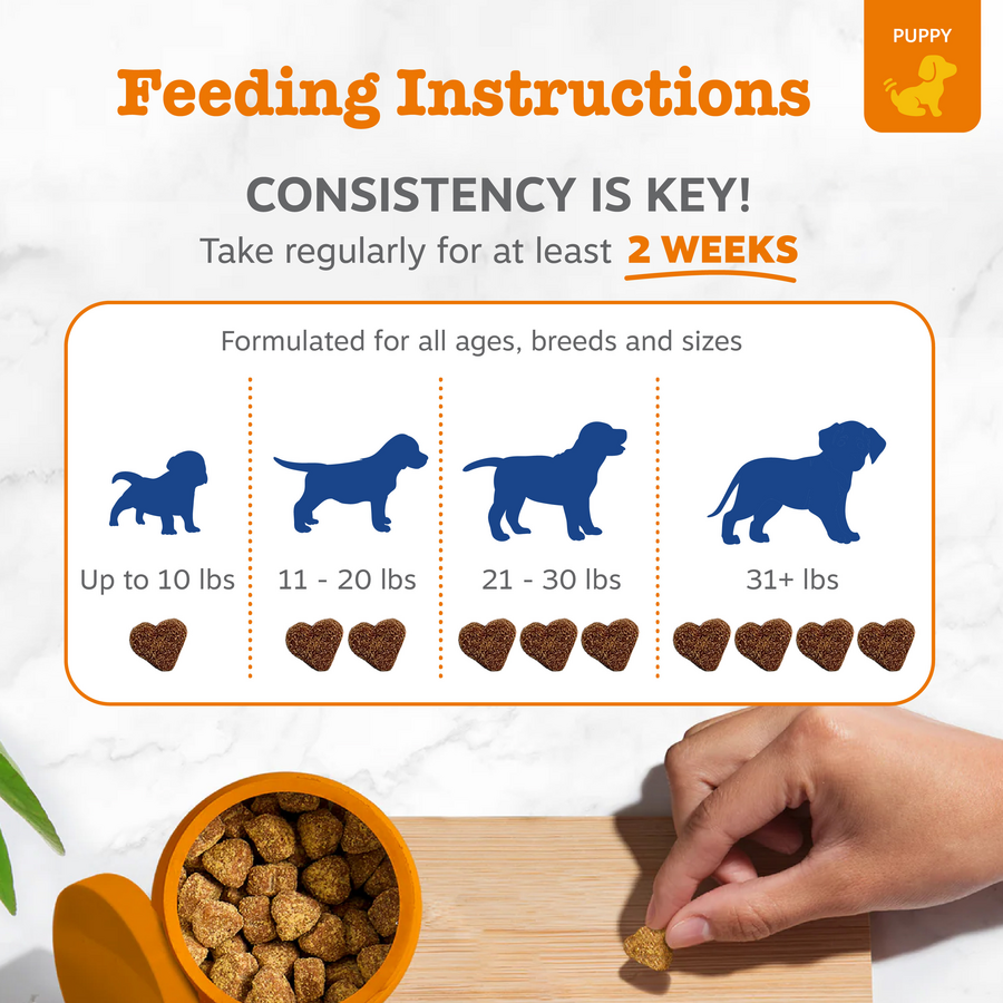 8-in-1 Multivitamin Bites for Puppies