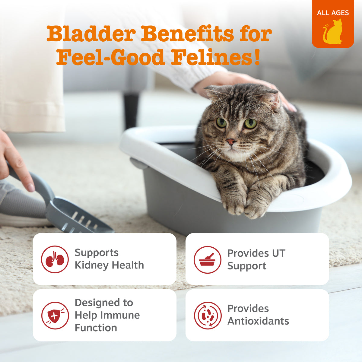 Tabby cat in litter box with product benefit information cards for urinary tract health support.