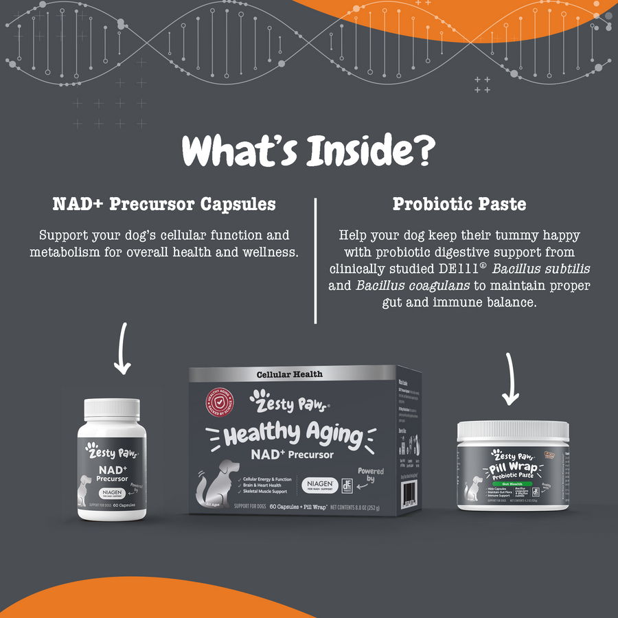 Healthy Aging™ NAD+ Precursor Supplement for Dogs