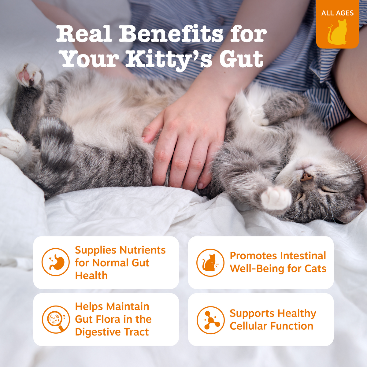 Digestion Cat Mousse