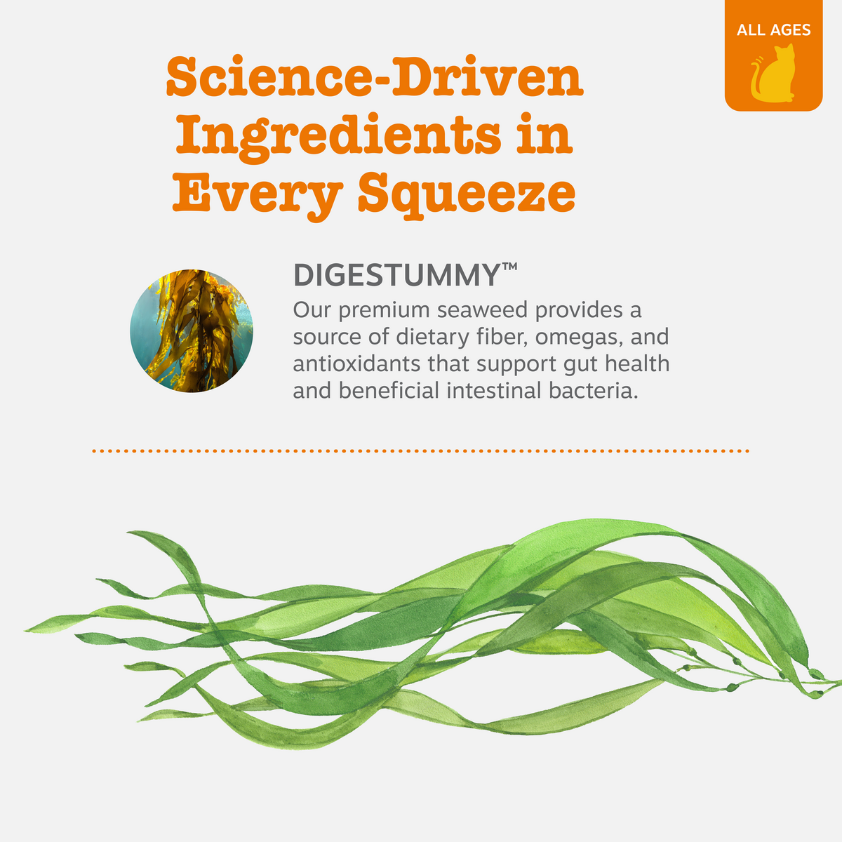 Digestion Cat Mousse