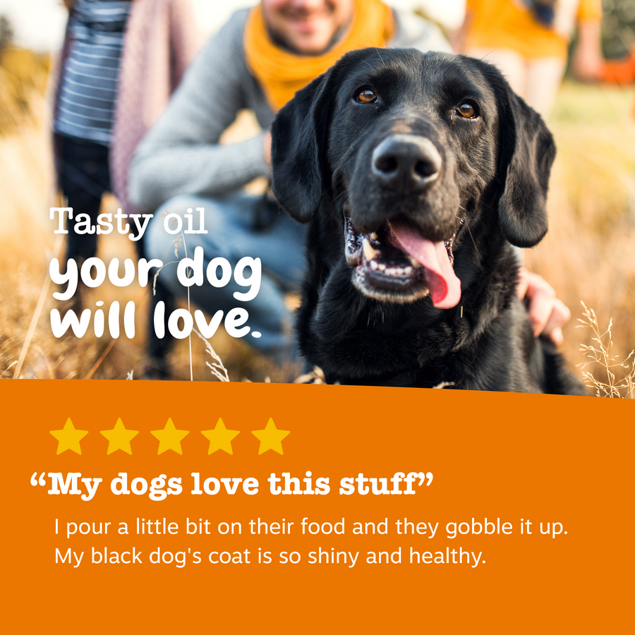 Wild Alaskan Fish Oil for Dogs & Cats