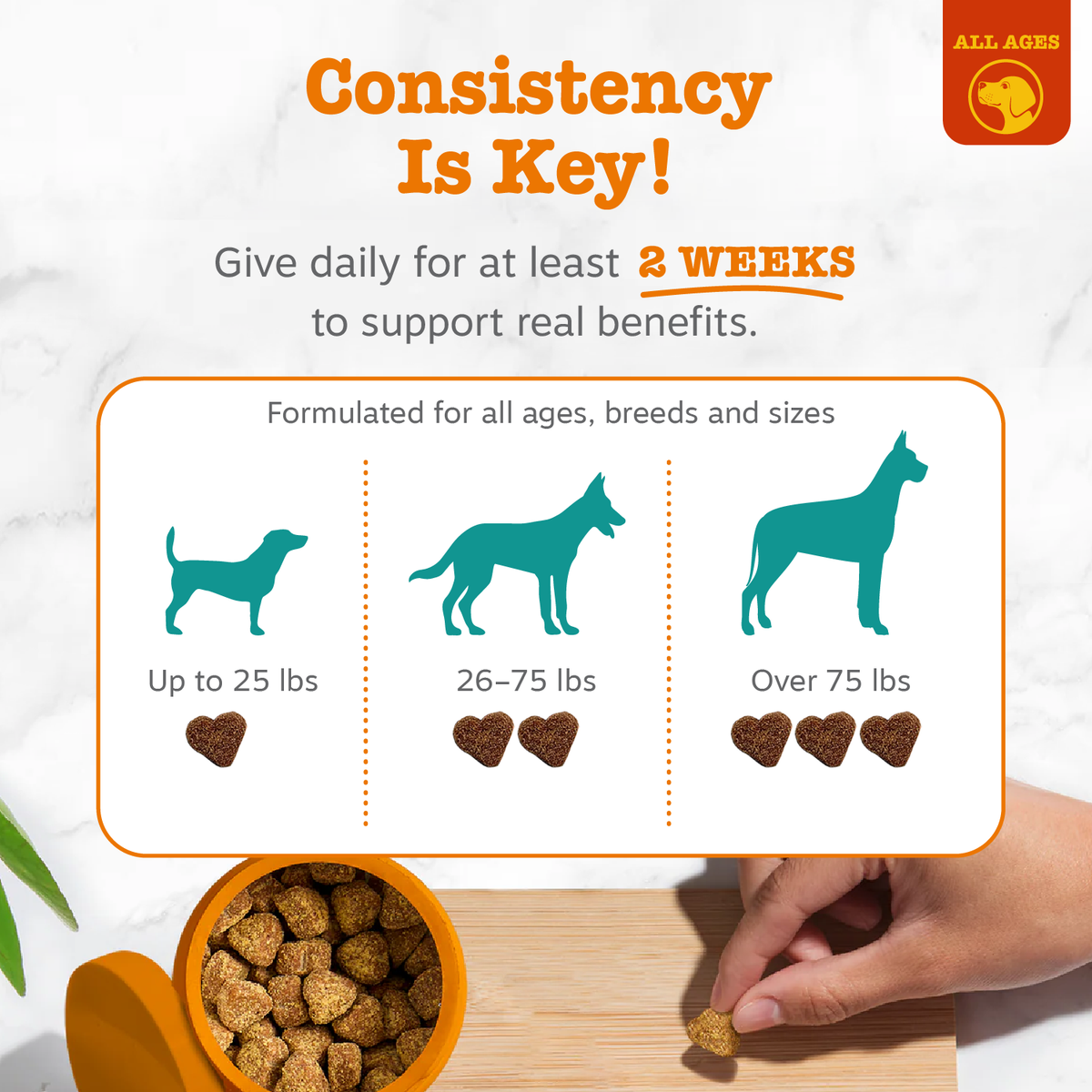 Brown heart-shaped dog treats in orange bowl with dosage guide showing portions for small, medium, and large dogs.