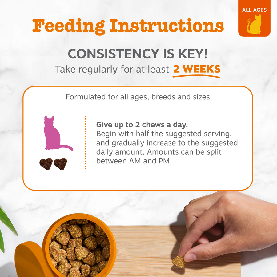 Hip & Joint Bites for Cats