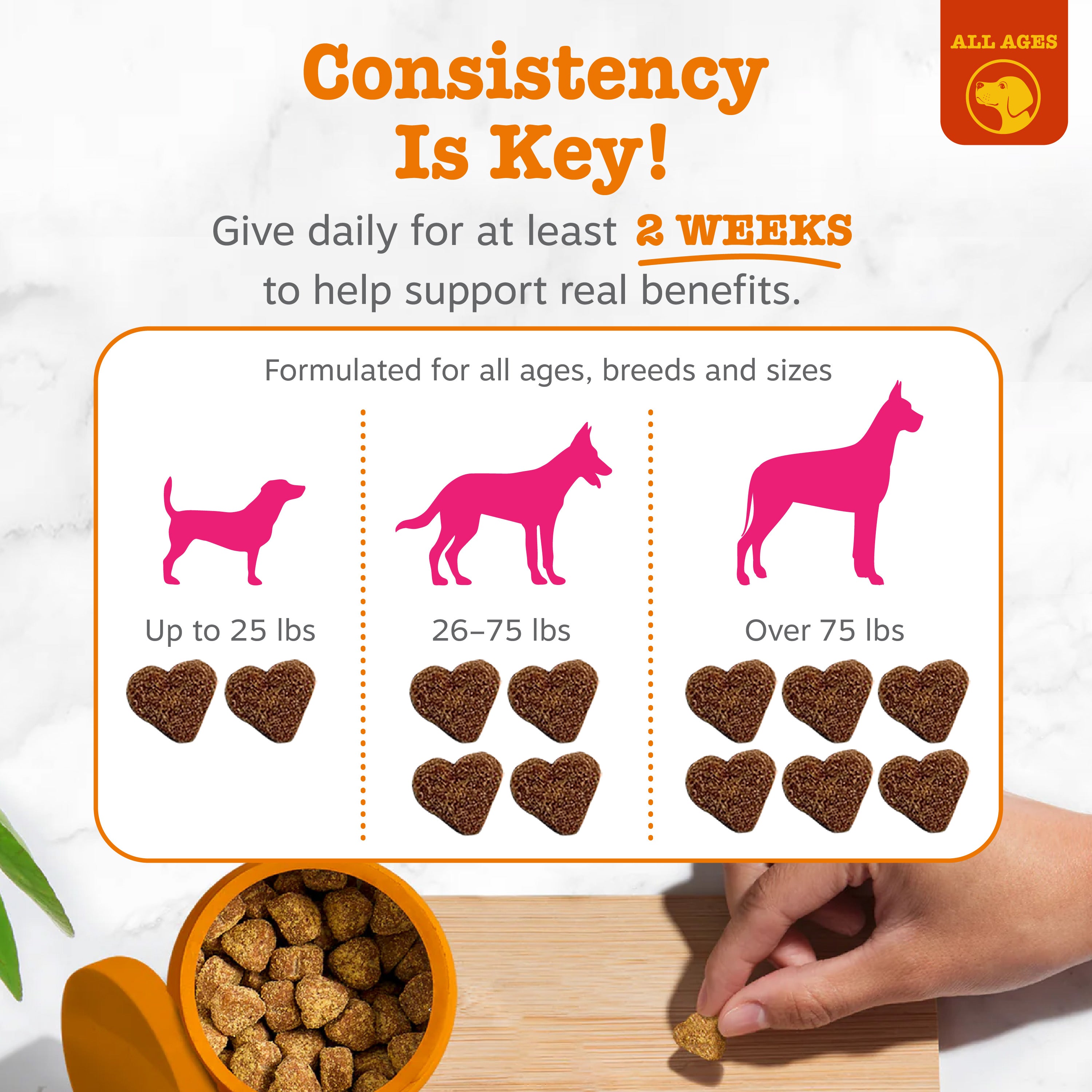 Flea & Tick Bites for Dogs