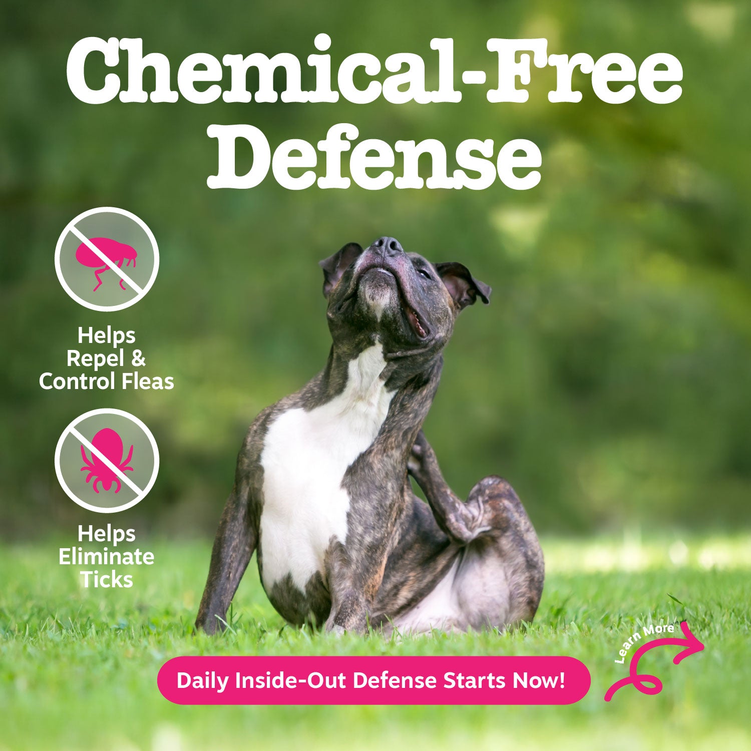 The Flea & Tick Trio | Bundle for Dogs