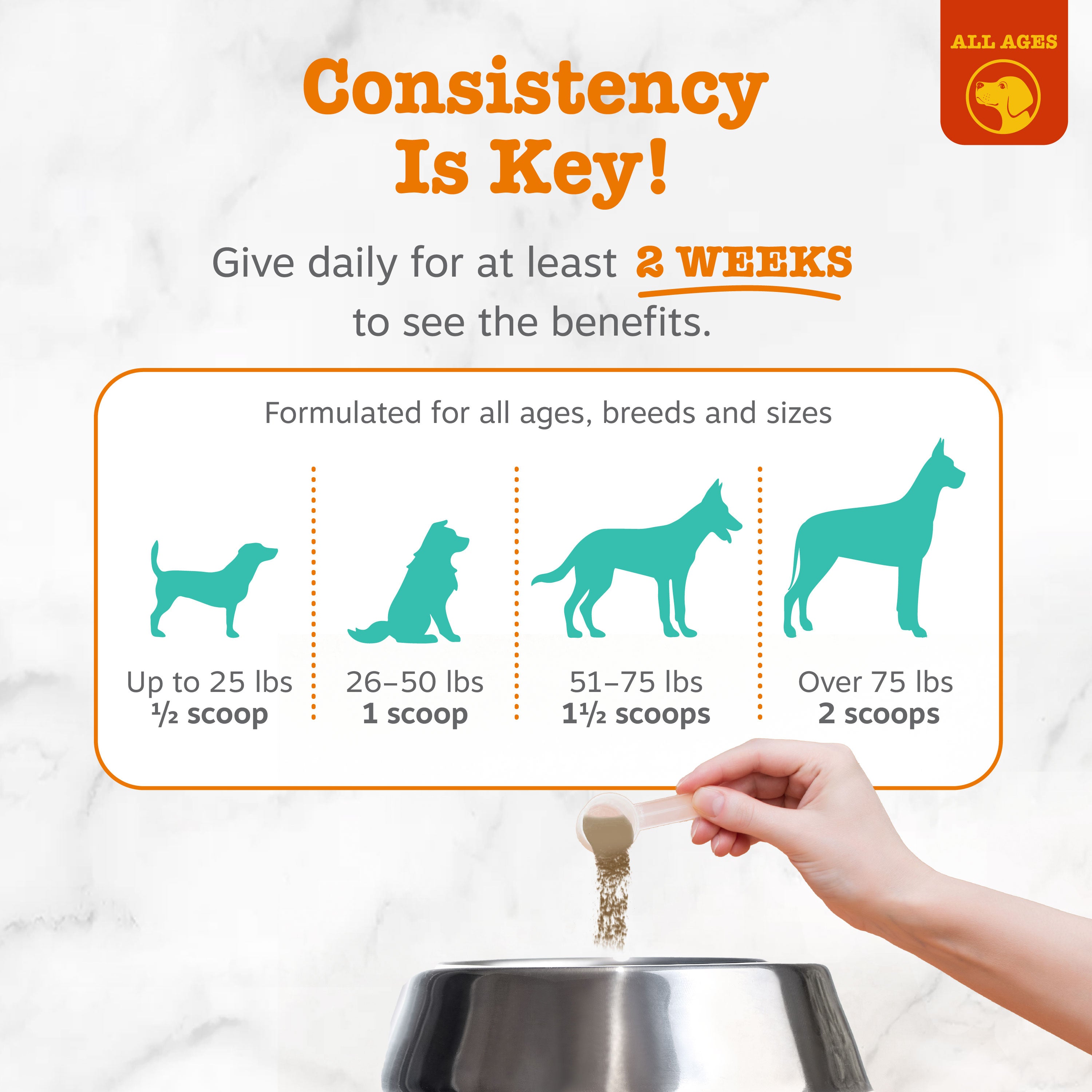 Hand holding scoop dispensing tan powder into metal bowl, with dosage guide showing four dog silhouettes.