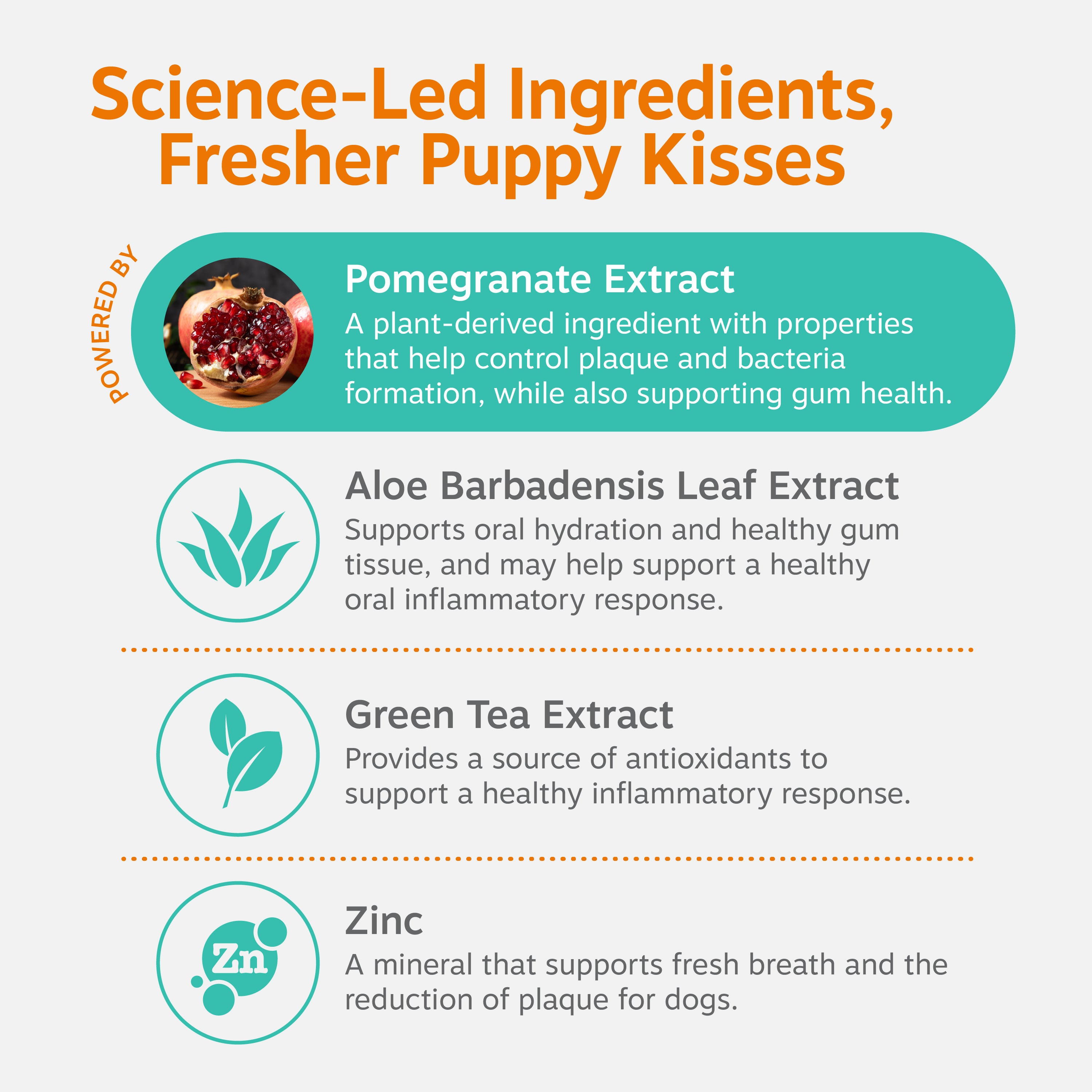 Daily Dental Water Additive for Dogs