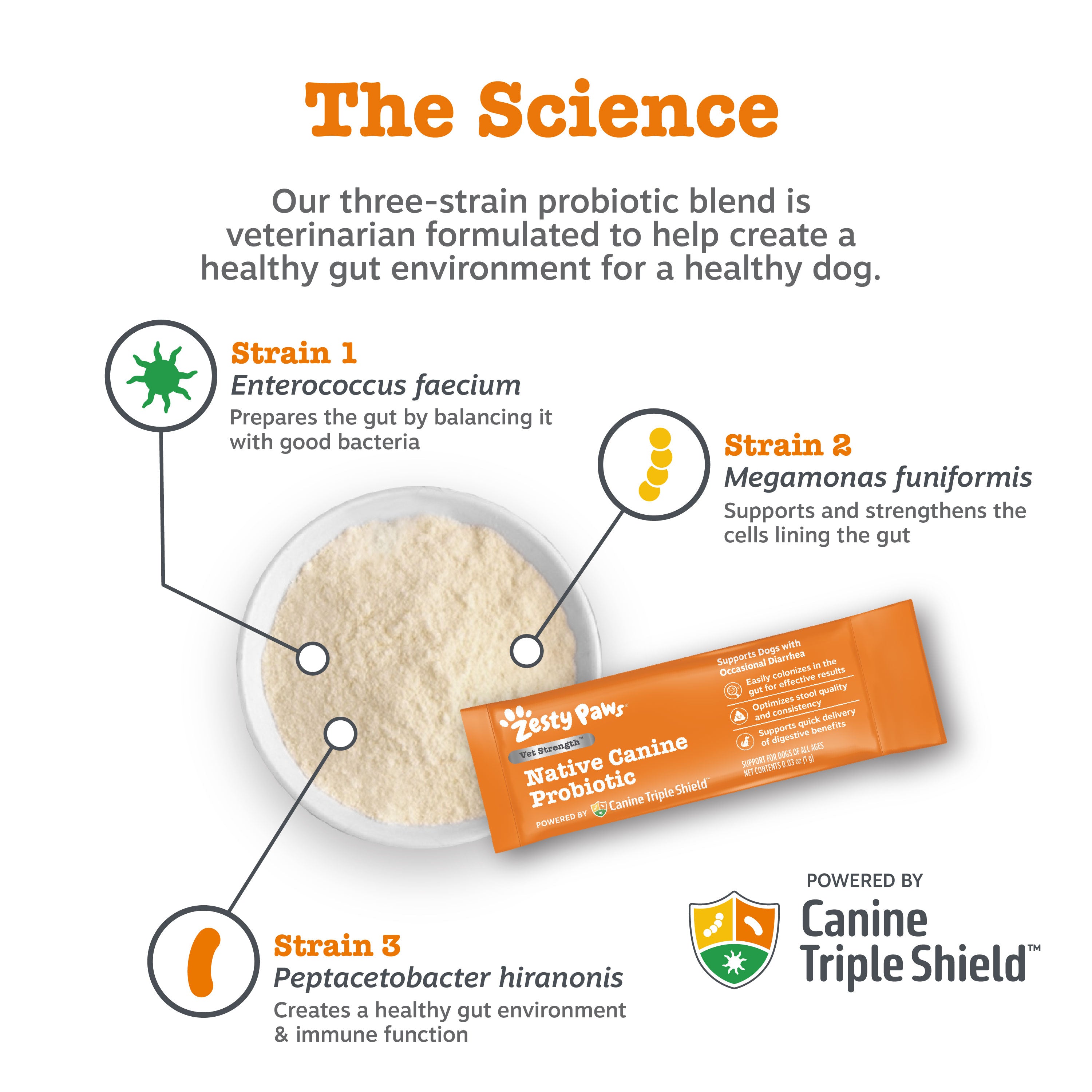 Infographic about a three-strain probiotic blend for dogs, featuring strains and with Canine Triple Shield branding.