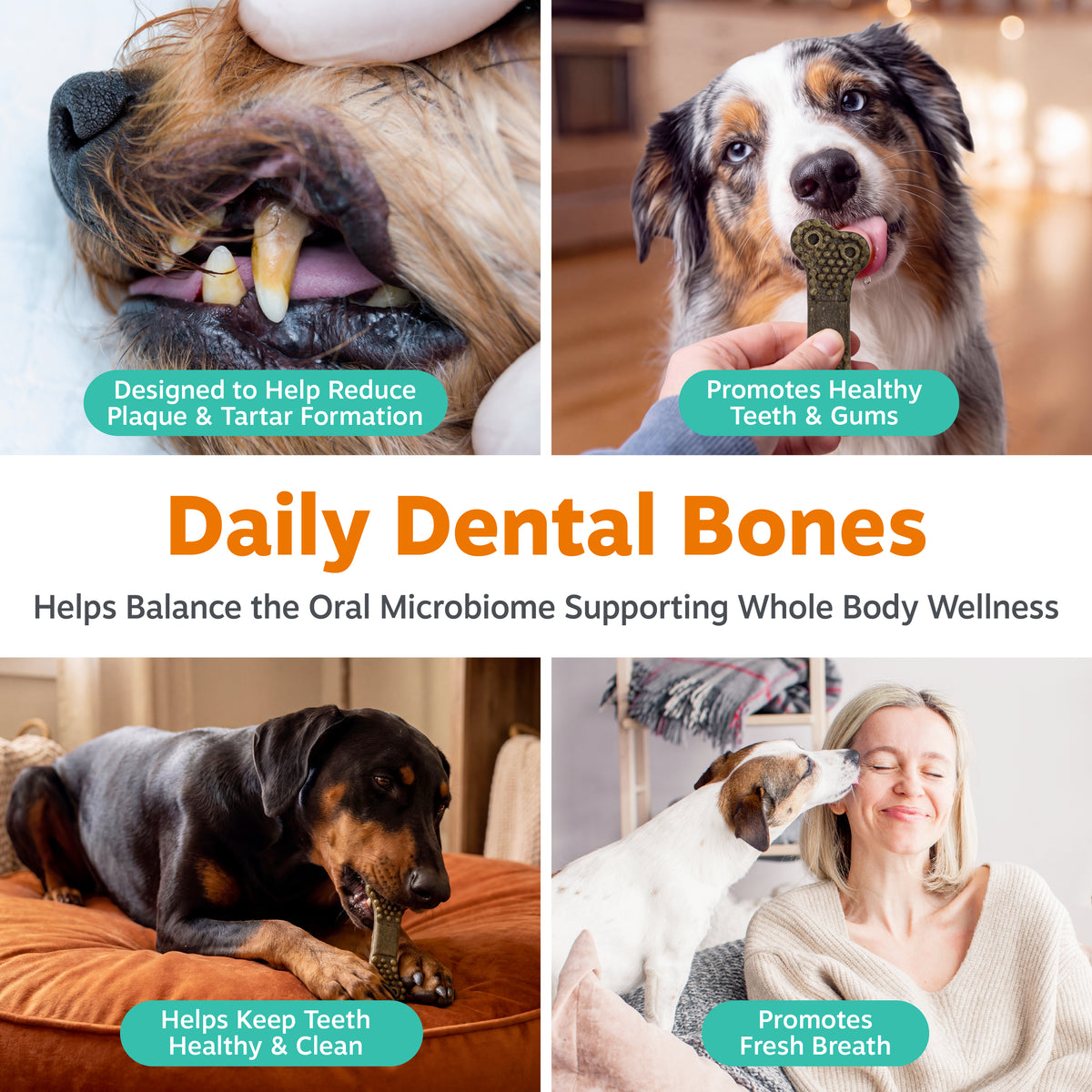 Dental Bones 2.0 for Small Sized Dogs