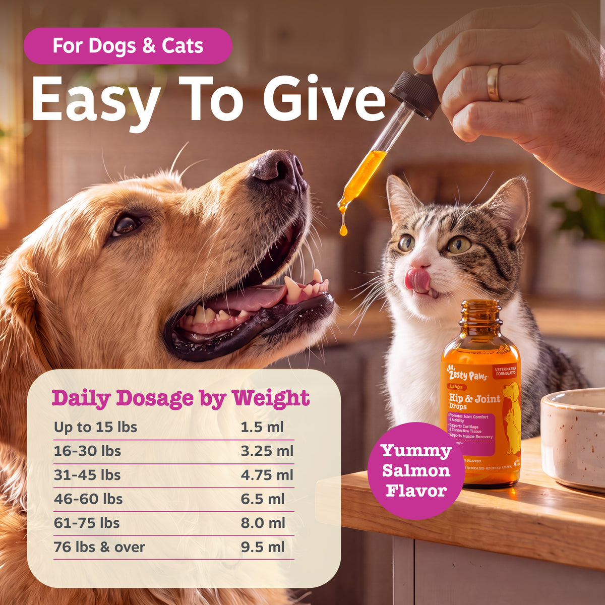 Hand holding dropper above golden retriever and tabby cat with amber bottle labeled Hip & Joint Drops on wooden table.