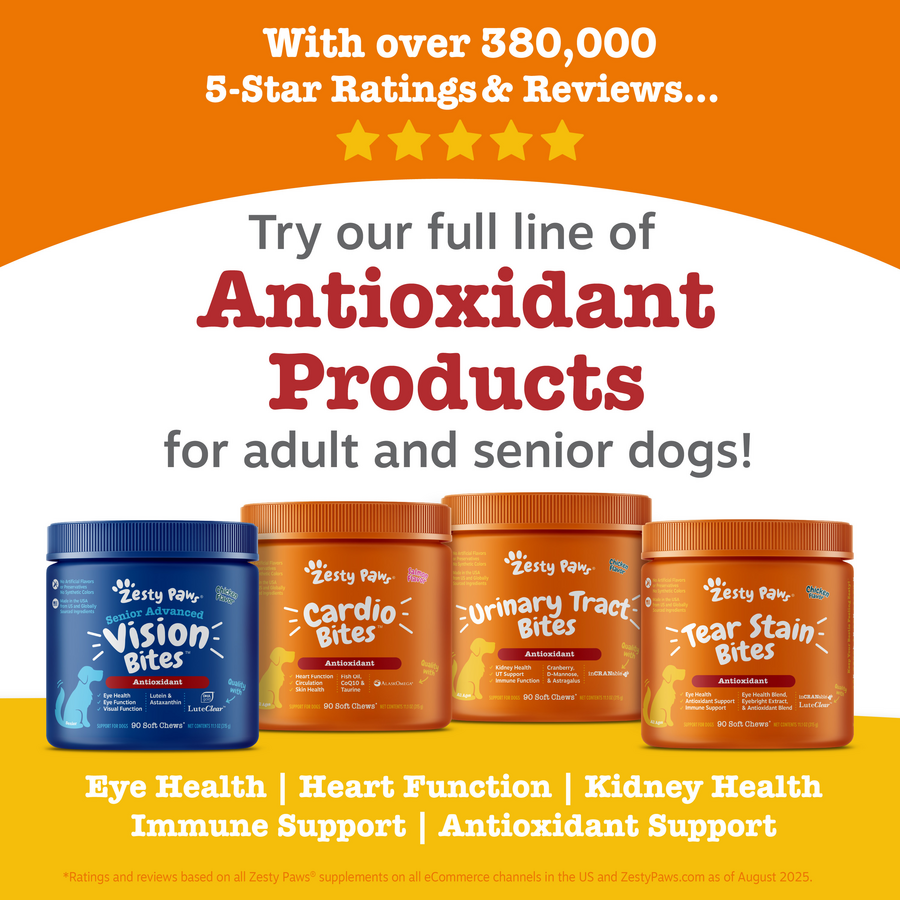 Senior Advanced Vision Bites™ for Senior Dogs