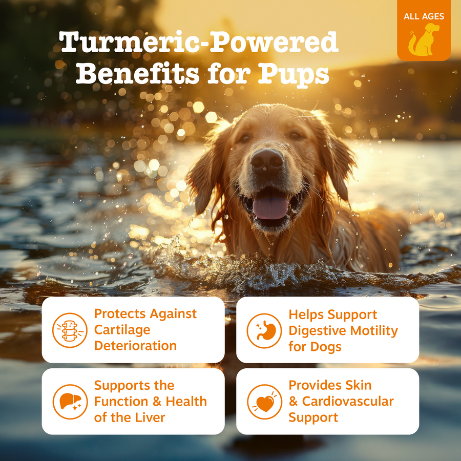 Turmeric Curcumin Bitesâ„¢ for Dogs