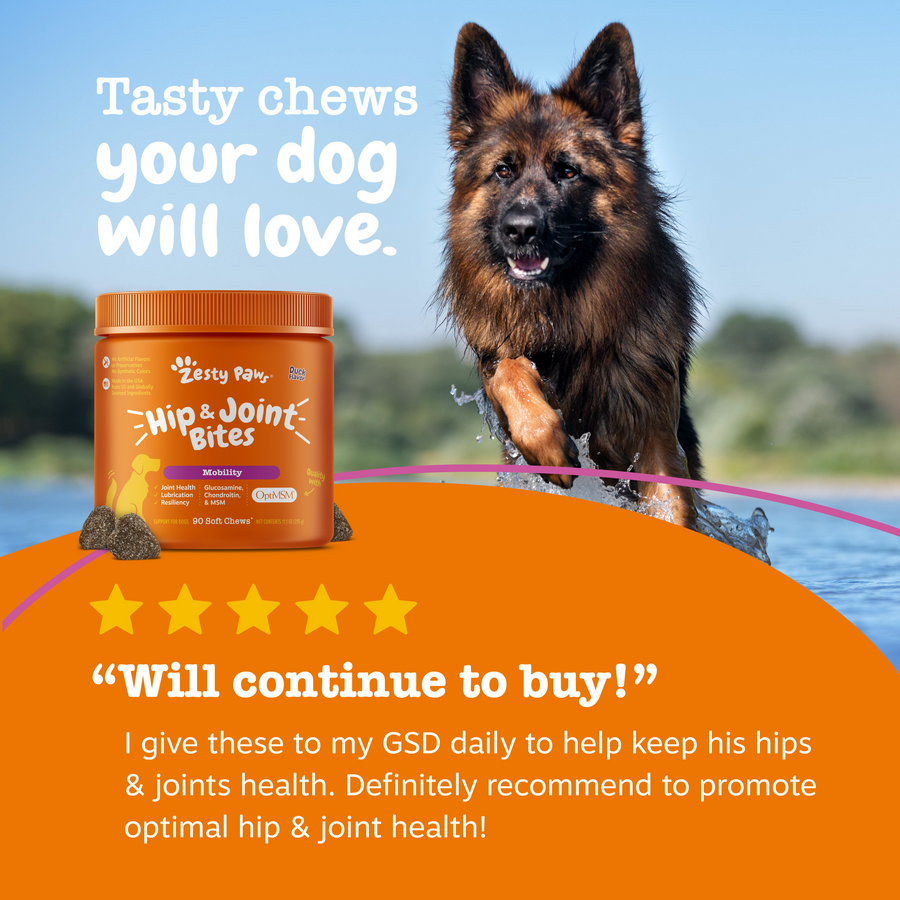 Hip & Joint Bites for Dogs