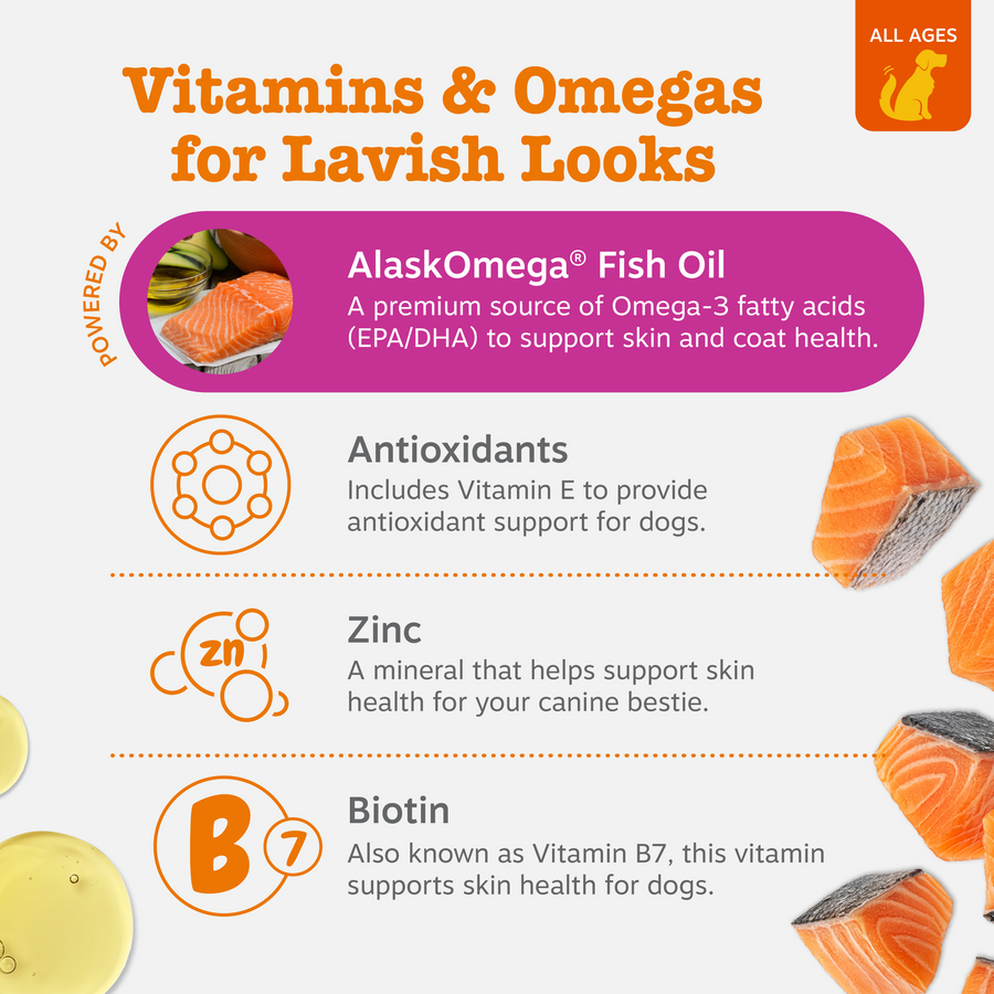 Skin & Coat Bites for Dogs