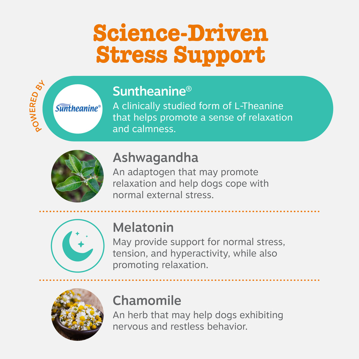 Advanced Calming Bites™ for Dogs