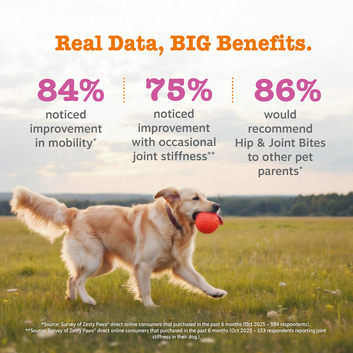 Golden retriever holding red ball in open field with text displaying product statistics.