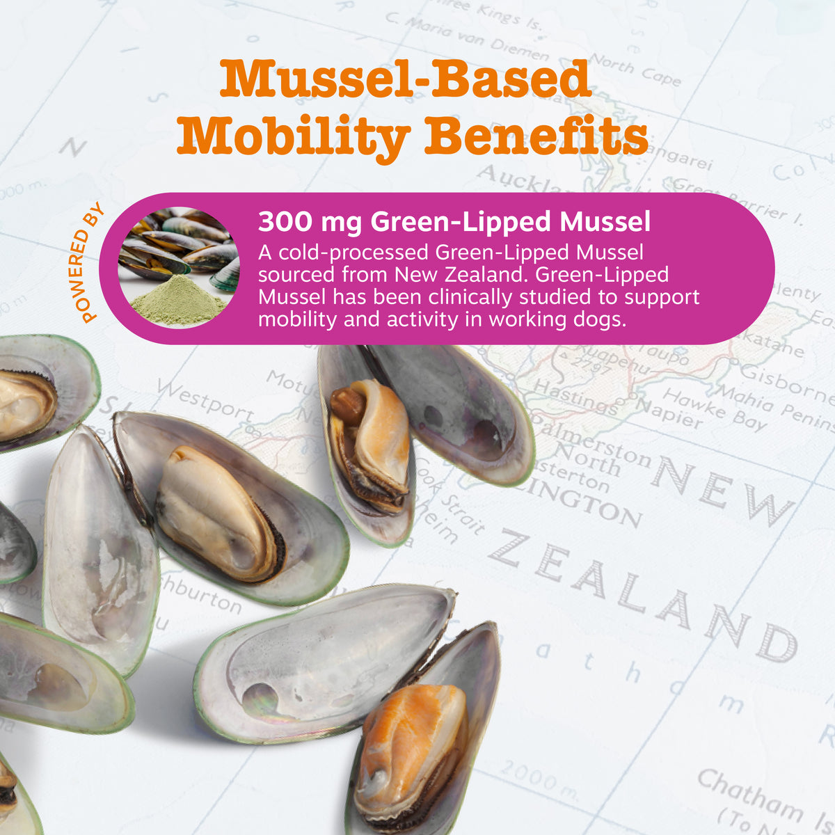 Green-lipped mussels and mussel powder displayed on a New Zealand map with text describing mobility benefits.