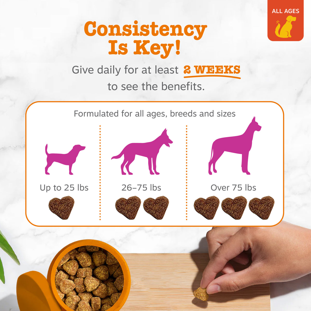 Instructional graphic showing dosage guidelines with dog silhouettes and heart-shaped treats for different weight ranges.