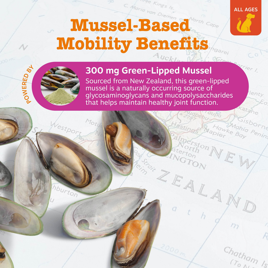 Mussel Hip & Joint Bites™ for Dogs