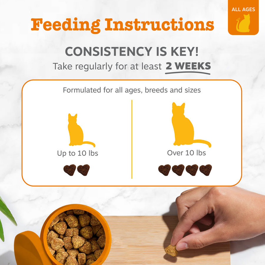 Hairball Bites™ for Cats