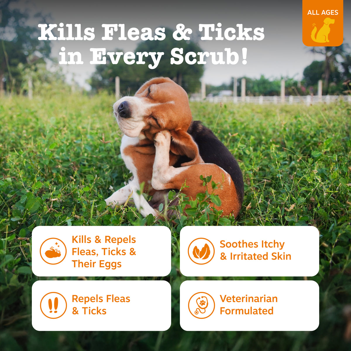 Brown and white dog scratching in grass field with product benefits displayed below.