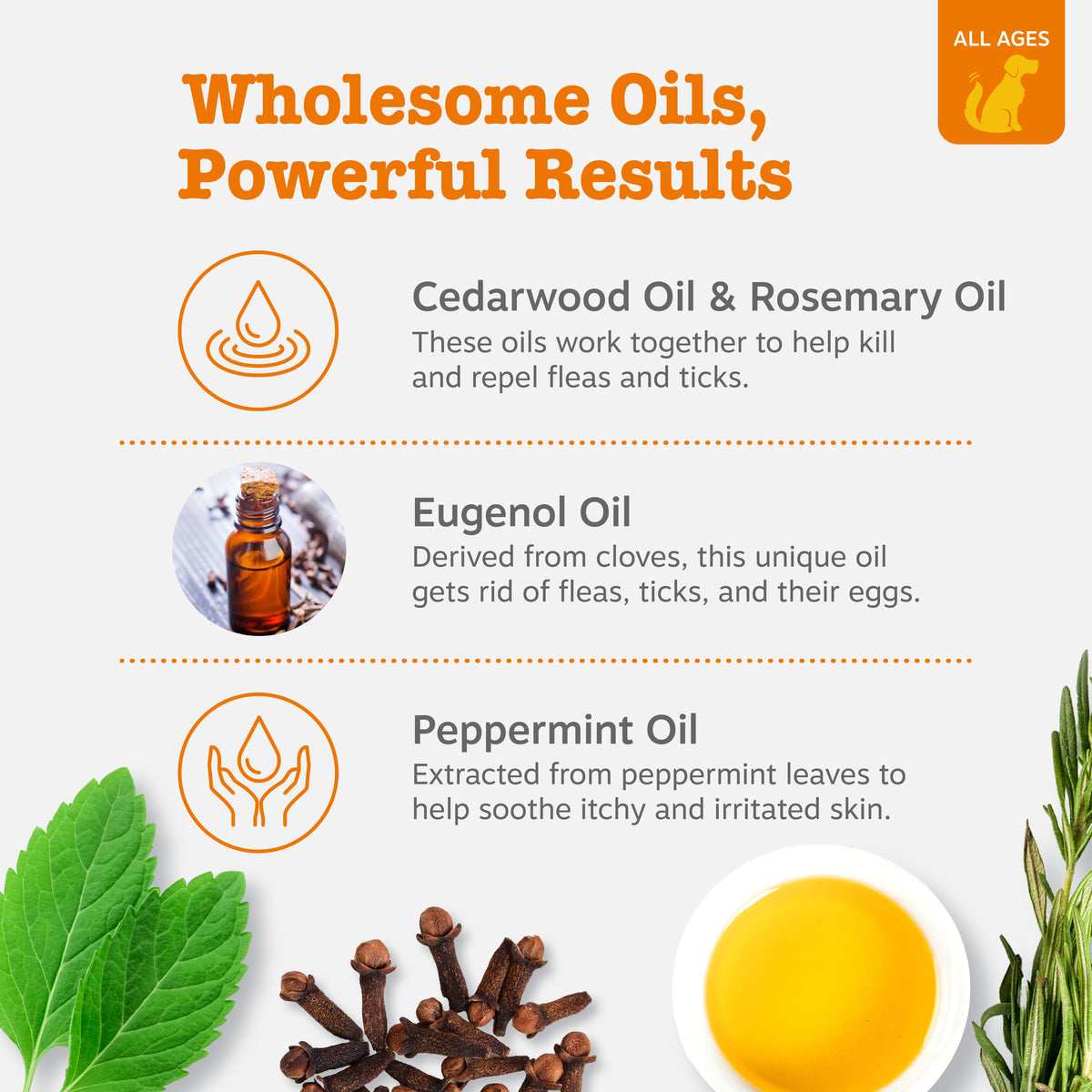 Flea & Tick Shampoo for Dogs