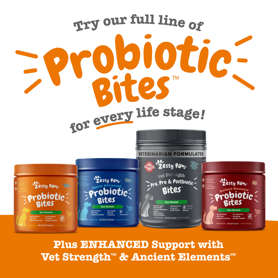 Four containers of Zesty Paw Probiotic Bites in orange, blue, black, and burgundy jars with white labels.