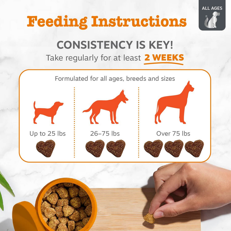 Vet Strength Allergy & Immune Bites™ for Dogs