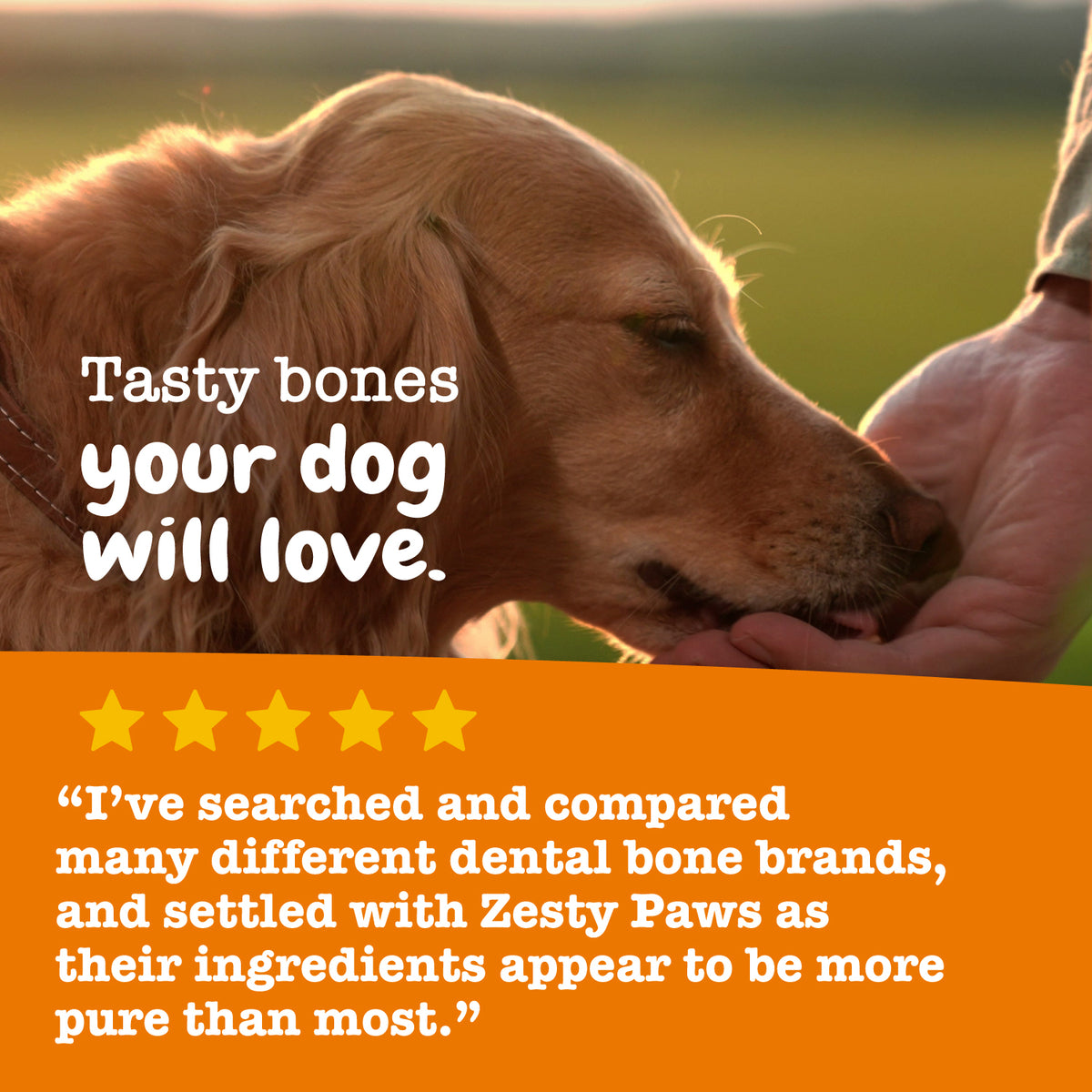 Zesty Paws Flea & Tick Shampoo for Dogs - Vet Formulated
