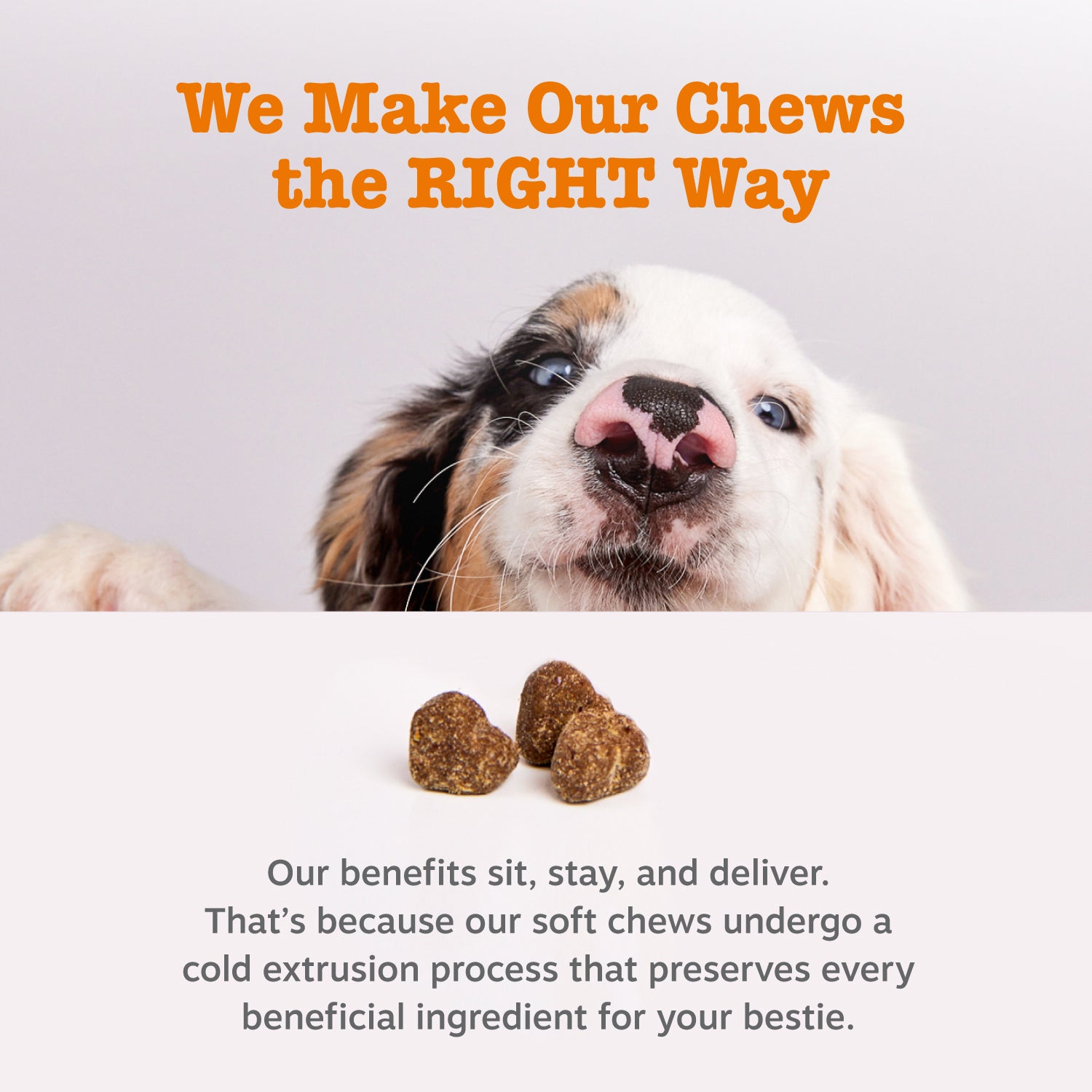 Vet Strength™ Weight Management Bites for Dogs