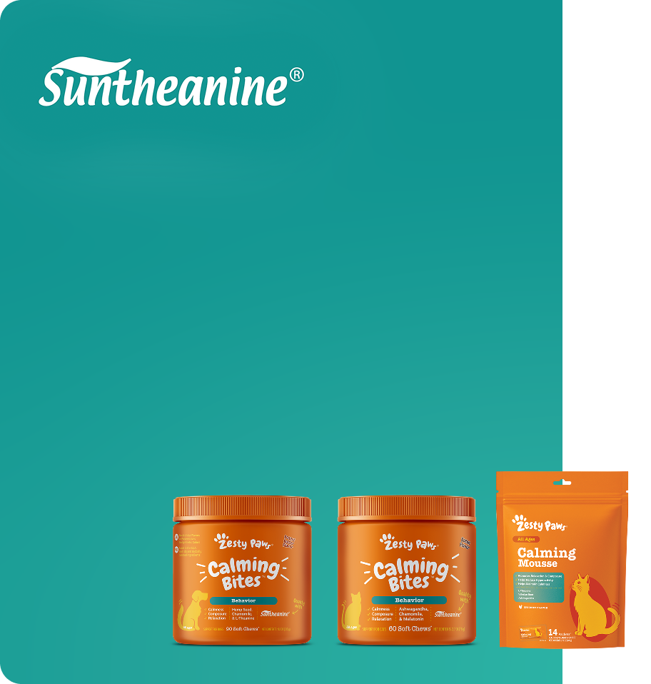 Suntheanine and supplement products on a teal and white background