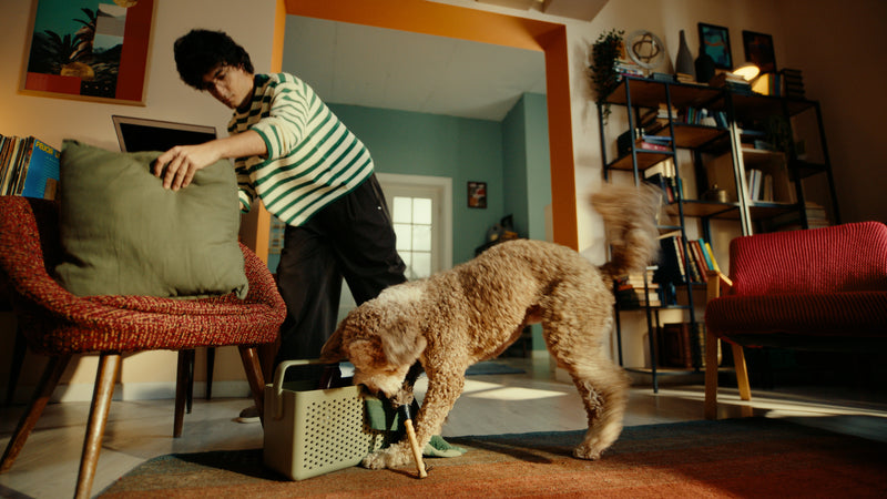 Take a Zesty Pause <br>with Zesty Pawsโข
