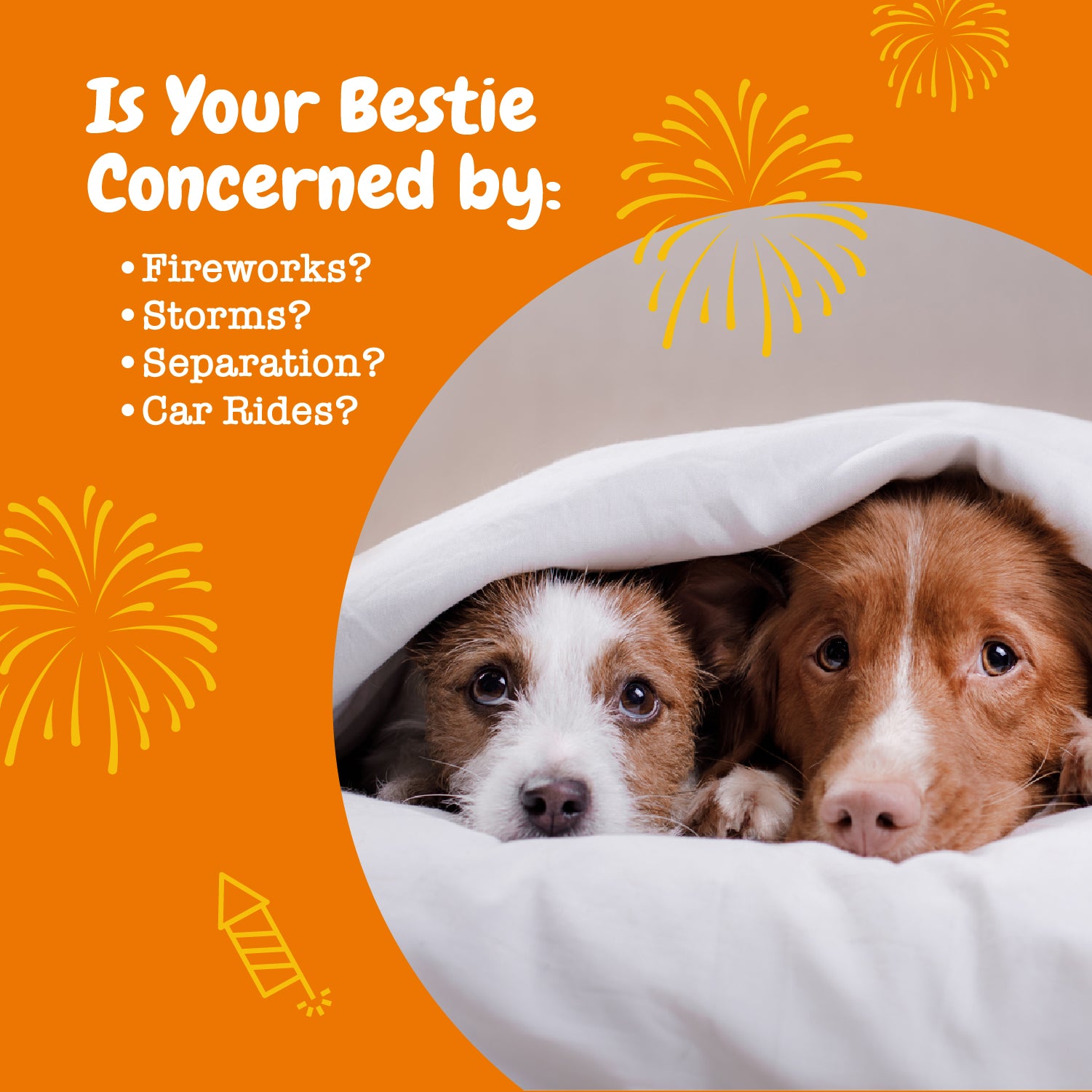 Calming Bitesâ„¢ for Dogs