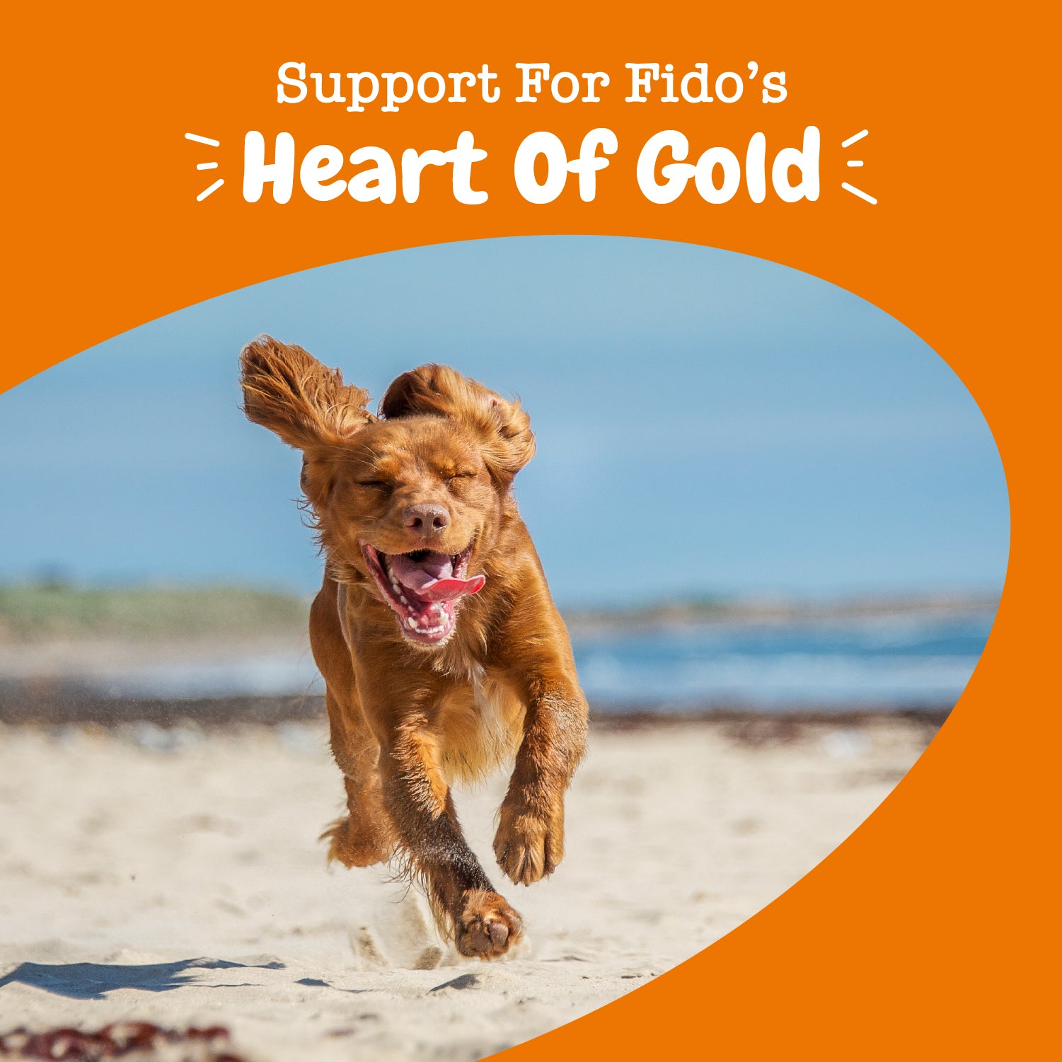 Cardio Bites™ for Dogs