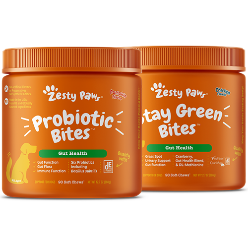Stay Zesty Tummy 2 Pack Bundle for Dogs