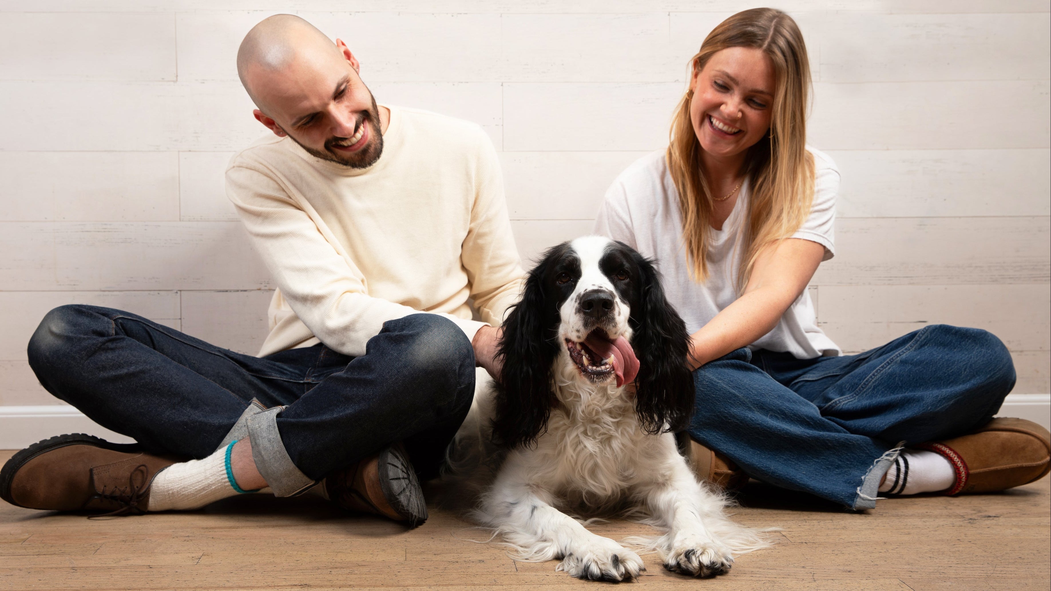 The Summer Zesty Reset: A 7-Day Care Routine for a Happier, Well-Rounded Dog