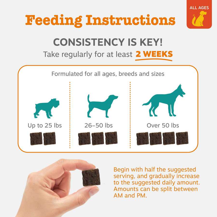 Lil' Zesties™ Calming Squares™ for Dogs