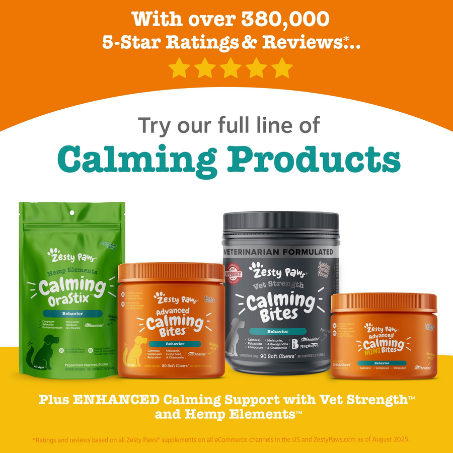 Lil' Zesties™ Calming Squares™ for Dogs